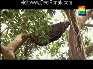 Zard Mausam Episode 1 - 3rd May 2012 Part 3