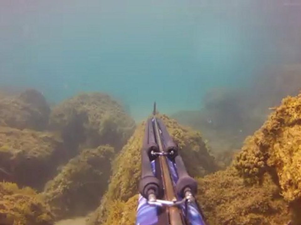 GOPR0039