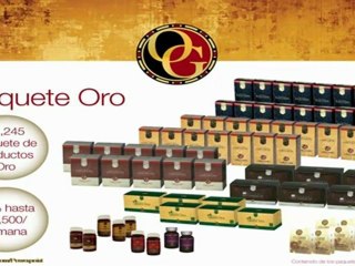 Organo Gold en Español Plan de Compensación