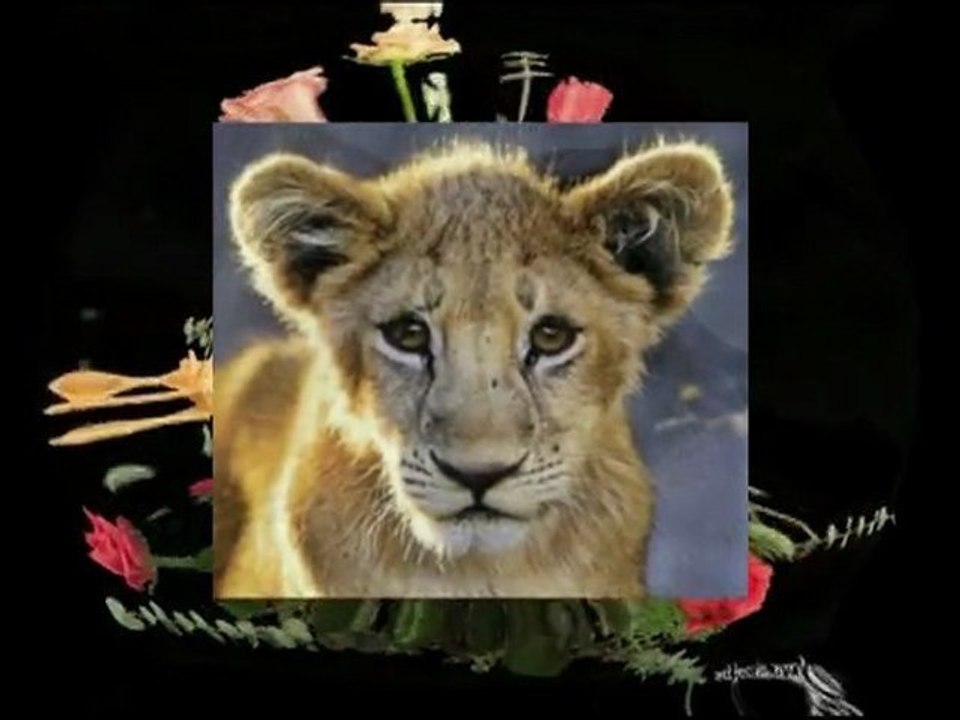 VTS_01_1aFilm daje powód do myślenia-czy zkazana miłość jest możliwa.