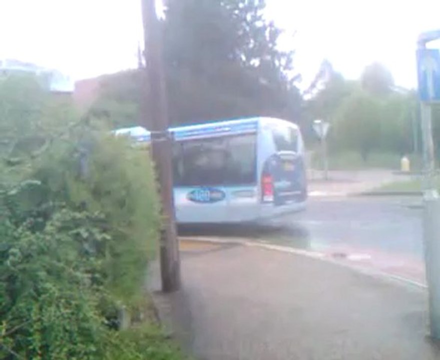 Bus video 6