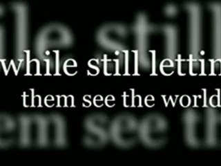 Bob Stroller Weather Shield – Duallie Revo & SS