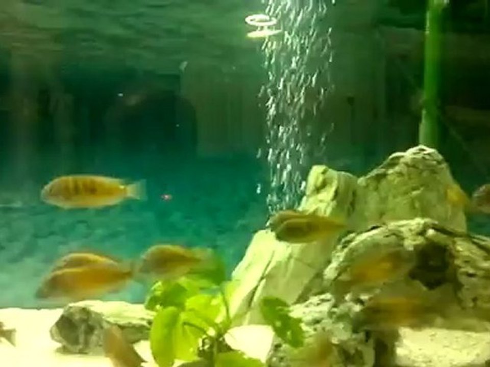 kasakalawe 04.05.2012