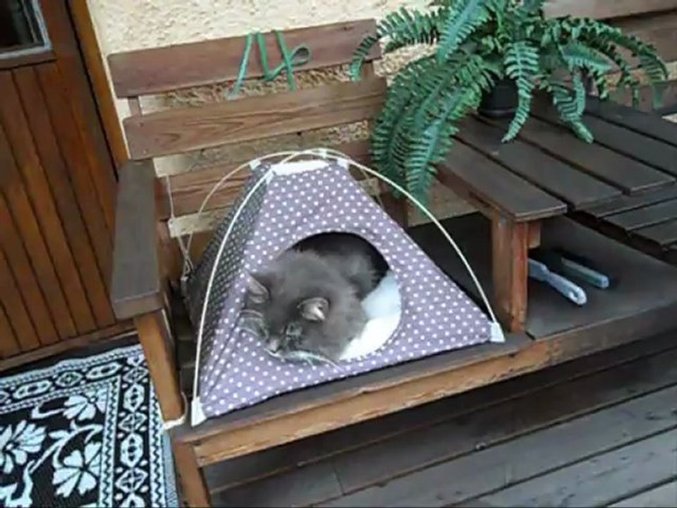 Film på Revis 5 Maj - 12. Med musik.