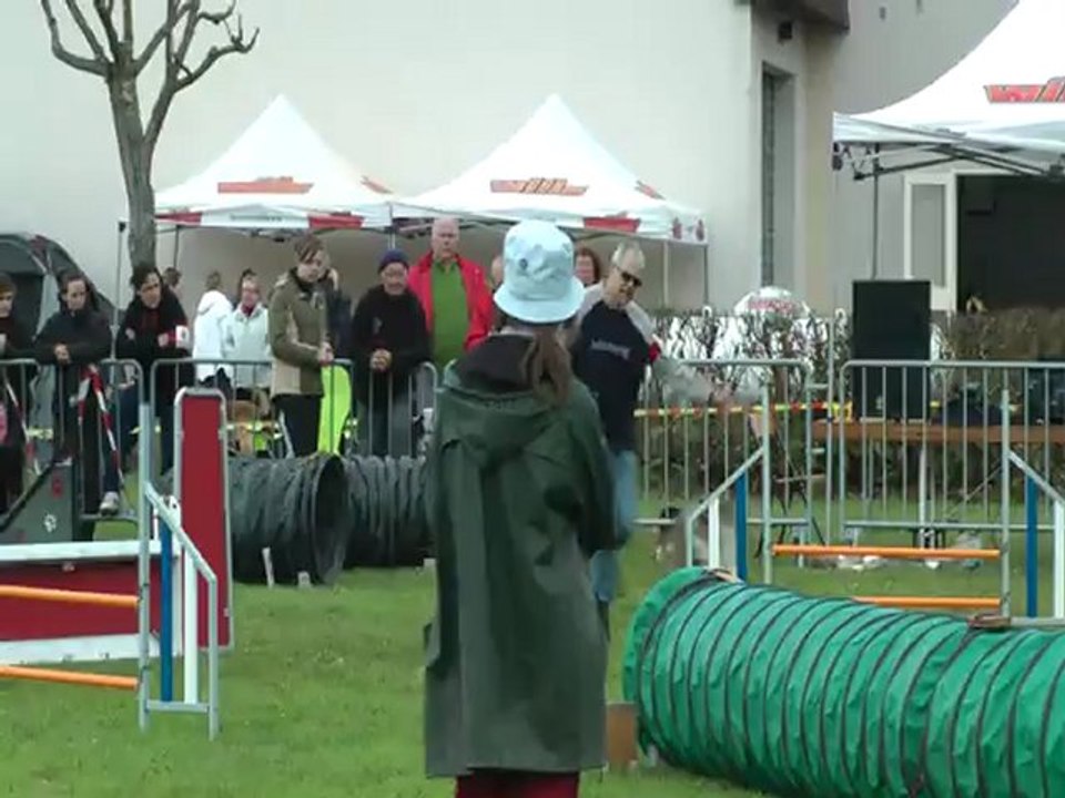 alain agility