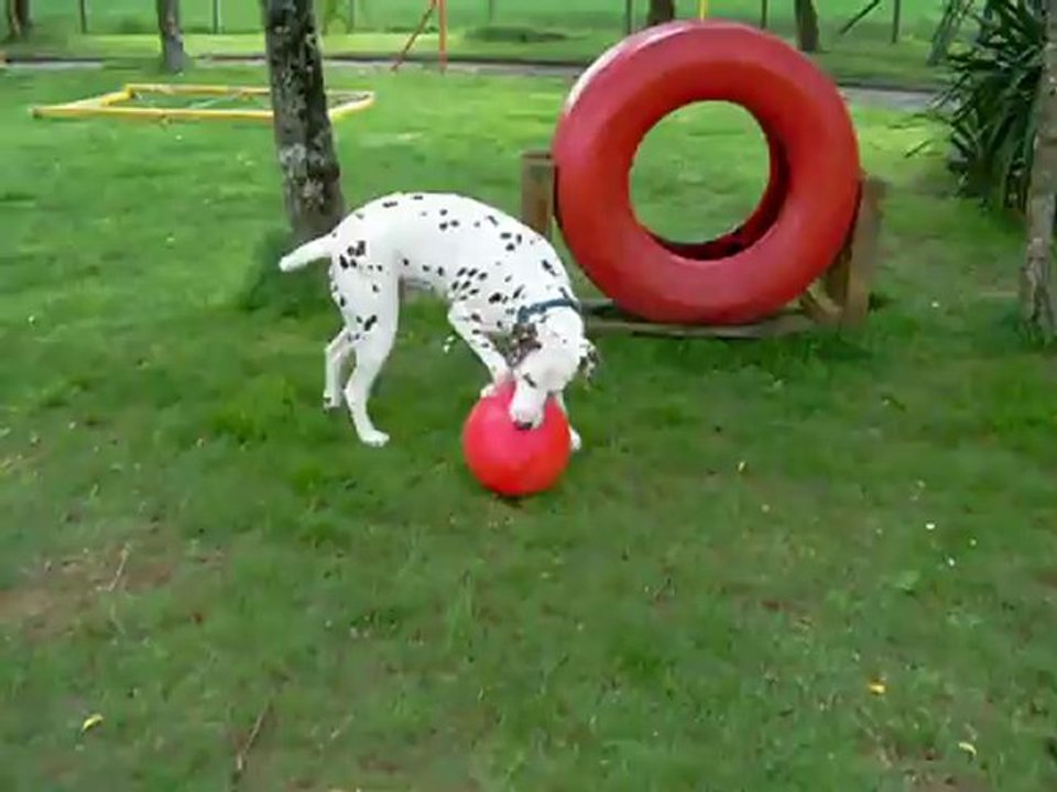 EOL JEU BALON
