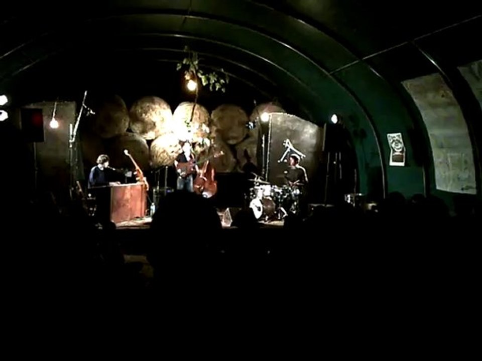 Le Roi - Des fourmis dans les mains / Live @ Rivolet