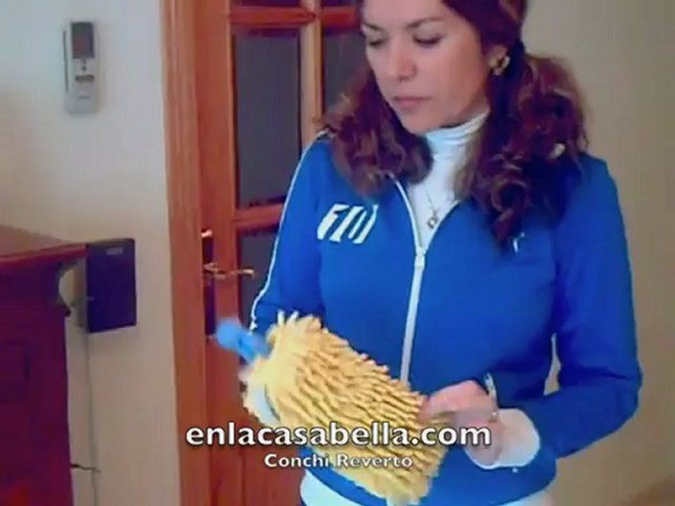 Venta directa StanHome World demostración Accesorio Quitapolvo Top Dust