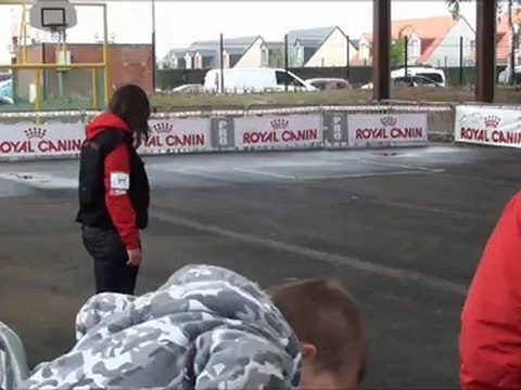 Grand prix de France SCC d'obeissance 2012 à Caudry Classe 1 Ermione de la Forge Saint Eloi