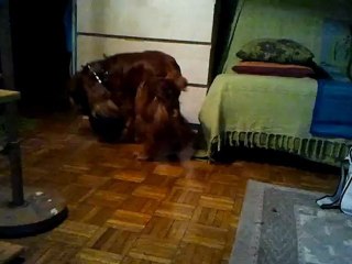 Vidéo0045