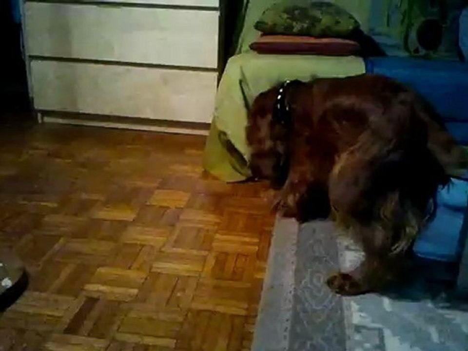 Vidéo0046