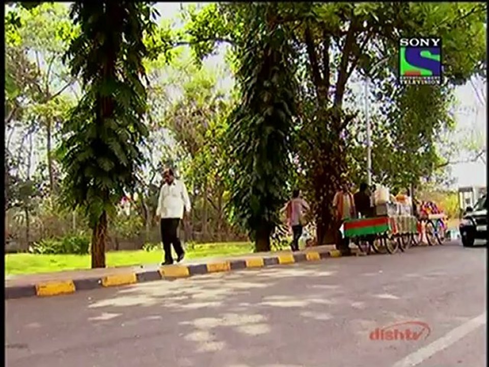 P arva - 8th May 2012 - P2