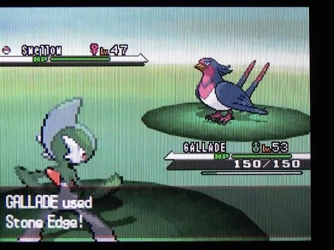 CGRundertow POKEMON WHITE VERSION for Nintendo DS Video Game Review