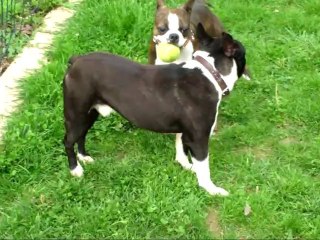 dadou et glasgow jouent