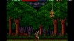 Test Super Castlevania IV (SNES)