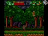 Test Super Castlevania IV (SNES)