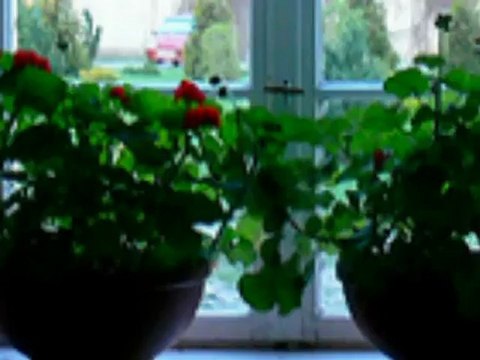 AHMET KAYA KARANLIKTA avizelife.com/2012-avize-modelleri