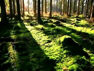 Radiohead Supercollider