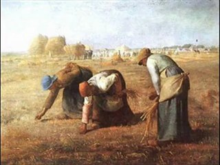 Le Marche nel Risorgimento