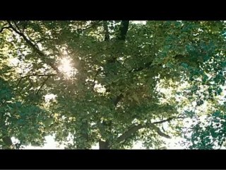 Profesor Lazhar - Tráiler Español [360p]