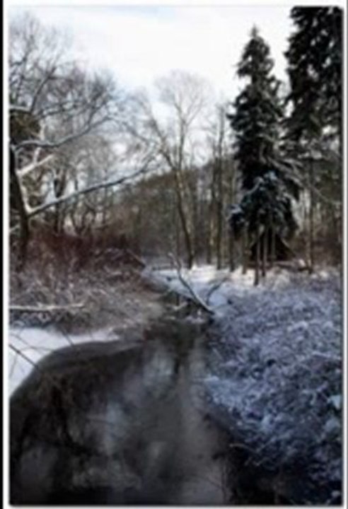 Chopin - Grand Duo Concertant in E major (2/2)