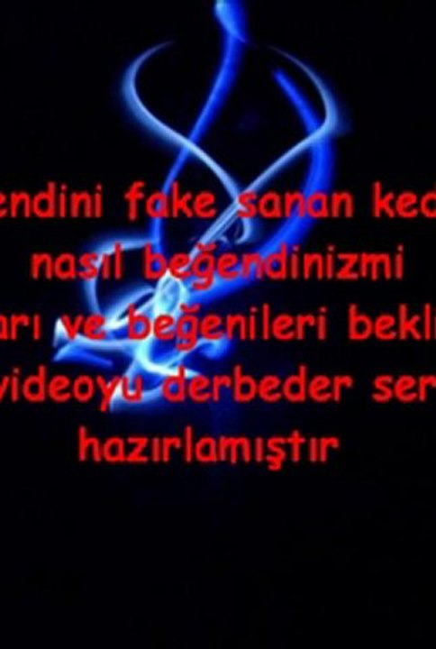kendini fake sanan kedi