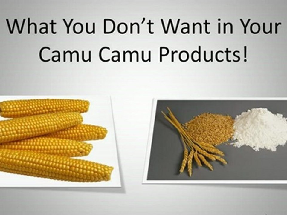 Camu Camu Berry Benefits