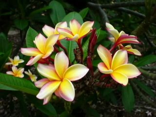 Good Night Sweet Heart.