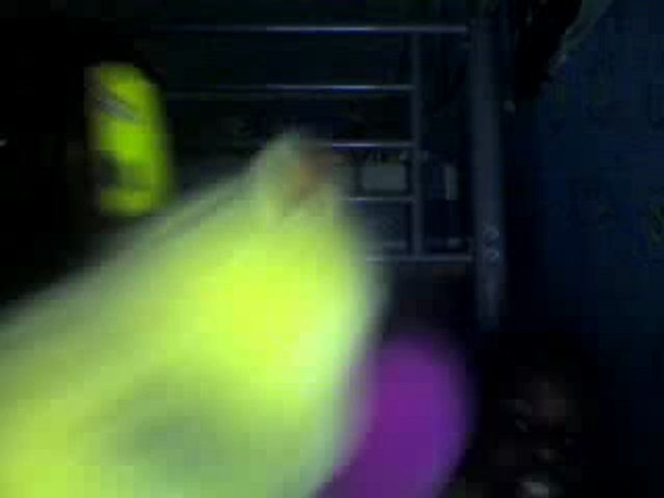 The Great Show part 2