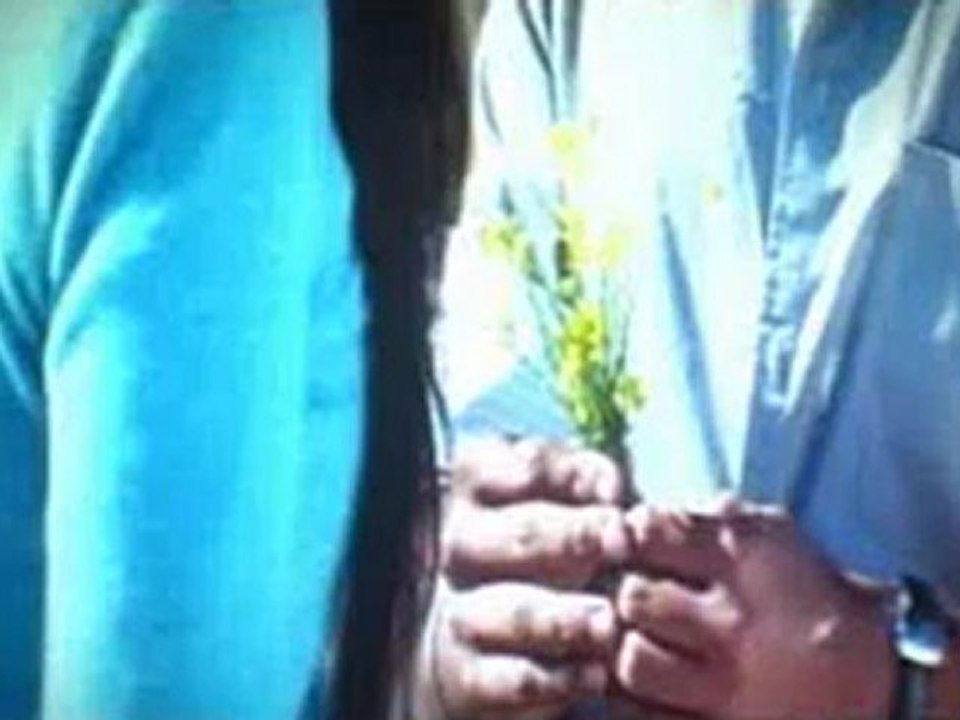 Vaaranam Aayirum 2008_clip3
