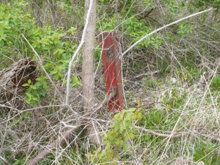 Pere Marquette Almont Branch  80 years later.
