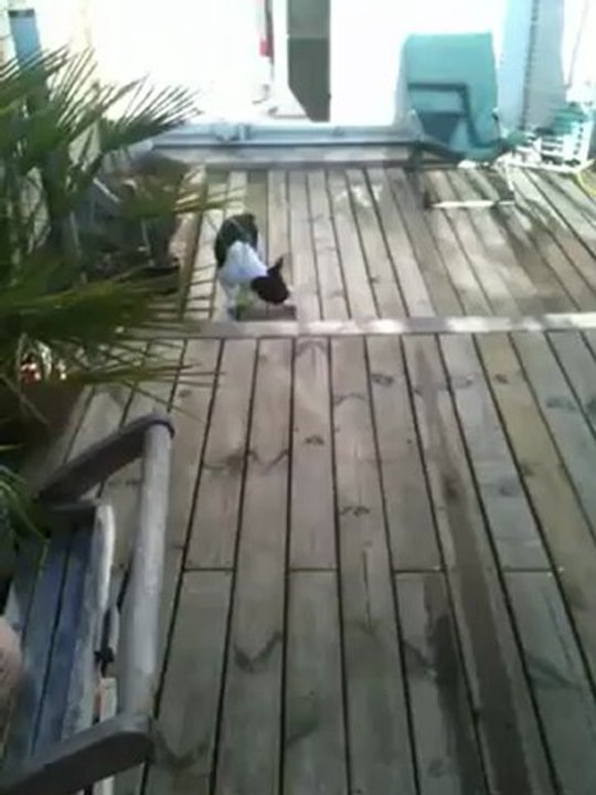 Je suis à croc au football