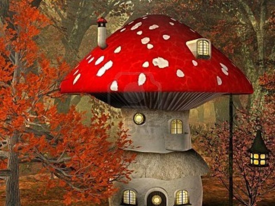 Walkthrough - Super mario bros x  (Parite 5) La maison champignons