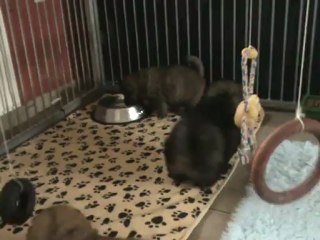 4 semaines - Premiers jeux (2)