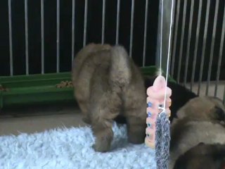 4 semaines - Premiers jeux (3)