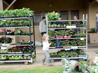 Reyssouze. Marché aux fleurs. Sou des Ecoles 2012