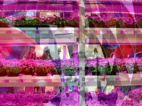 New01.mpg FLORIADE DIAPO VENLO HOLLANDE MAI 2012