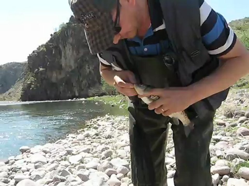 FLY ÇAPAR