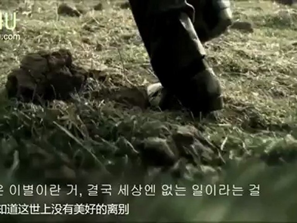 【아이유】 - 只有我不知道的故事