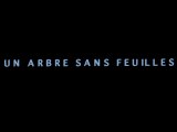 Un Arbre Sans Feuilles (2011)