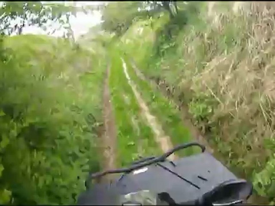 Rando sur POLARIS Sportsman 500 Ho Forest