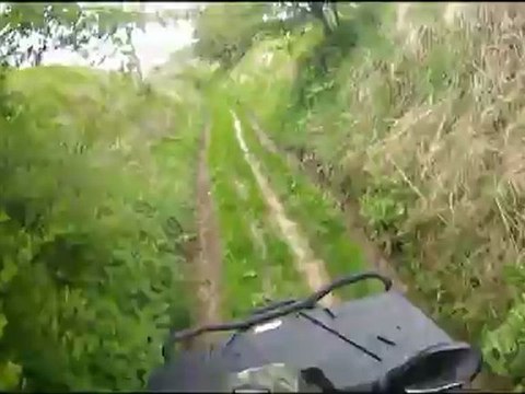 Rando sur POLARIS Sportsman 500 Ho Forest