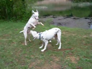 EOL for ET and Dolly 2 🤖