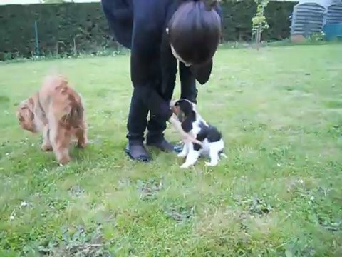 Allez tu viens Robby, on va jouer