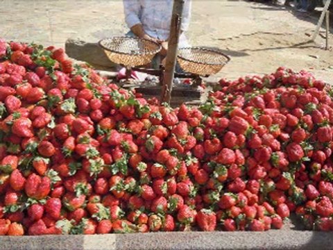 Ouarzazate, Dadés, Todra, Ziz, Midleff, moulaya, Meknès, Volubis, Fez, Chefchaouen, Tanger. février, 2011
