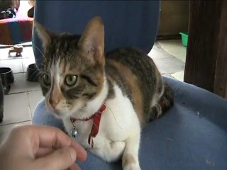 05 05 12 Cheyenne 01