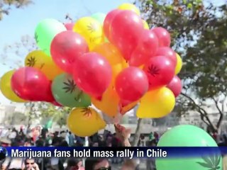 Marijuana fans hold mass rally in Chile