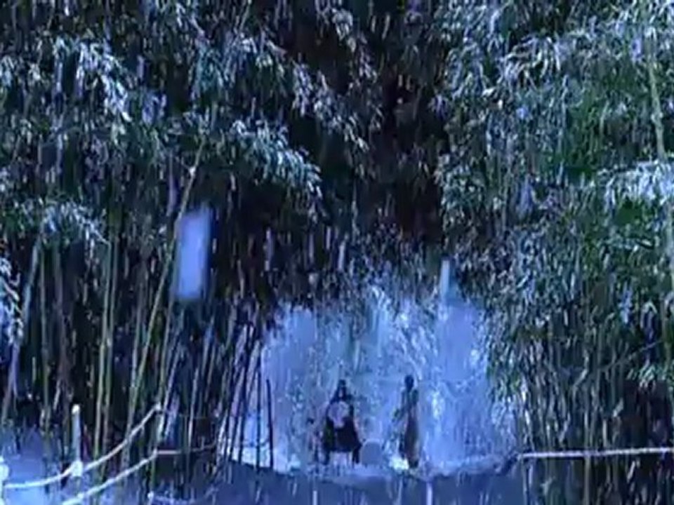 B.S.2005-002.yeppudaa.com