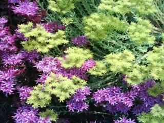 North York House Reviews - Pamcrest Dr