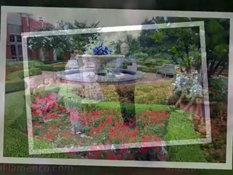 Guitarist Witold Tulodziecki - smooth Jazzy guitar with Latin Flamenco flavor